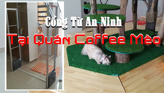 Lap-dat-cong-tu-an-ninh-cho-quan-Coffee-Meo